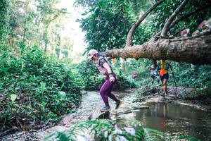 BIB: 
                            <button type="button" onclick="openModal(25434264)" class="btn btn-primary btn-sm float-right btn-popup" data-toggle="modal" data-target=".modal-high-quality">
                        <i class="fas fa-shopping-cart"></i> Add to Cart
                    </button>
                                            <button type="button" onclick="isThisMe(25434264, true)" class="btn btn-success btn-sm float-right btn-popup btn-isme hidden" data-toggle="tooltip" data-placement="bottom" title="นี่คือรูปของคุณใช่ไหม คลิกที่นี่เพื่อเอาเข้าอัลบั้ม">
                        <i class="fas fa-plus"></i> Add to album
                    </button>
                    <button type="button" onclick="isThisMe(25434264, false)" class="btn btn-warning btn-sm float-right btn-popup btn-isnotme hidden">
                        <i class="fas fa-ban"></i> Remove from album
                    </button>